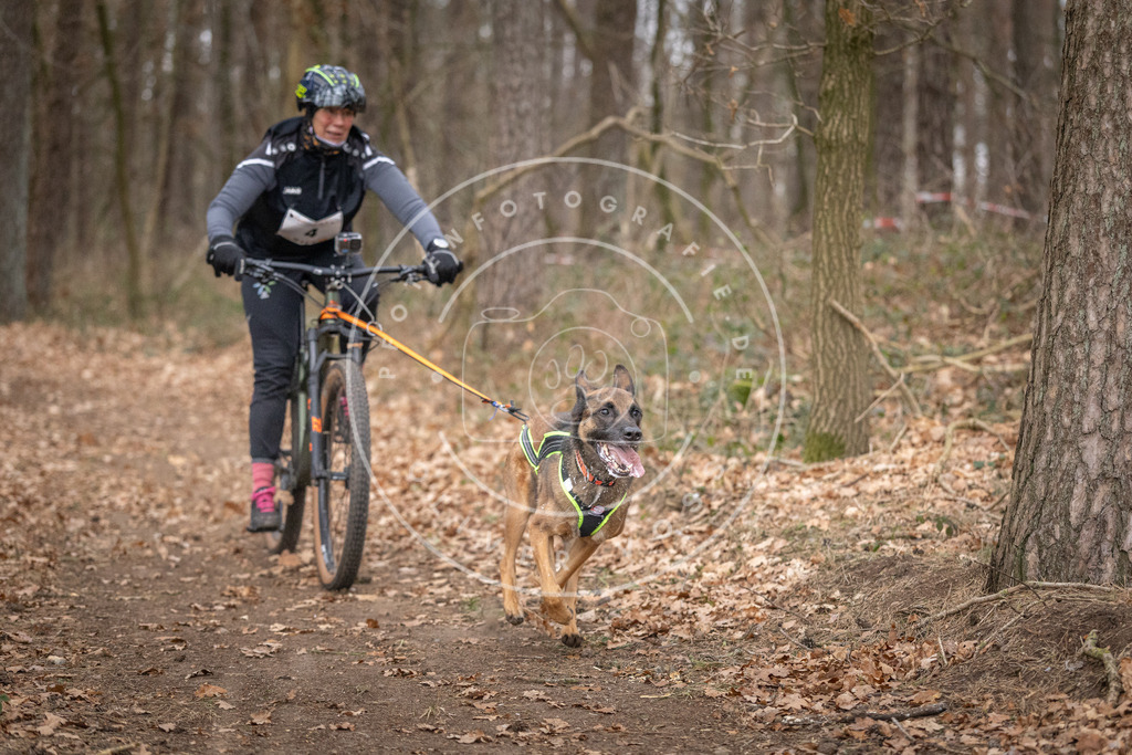 Pfotenfotografie_DV3A6374 | Hundefotografie, Tierfotograf, Pfotenfotografie, Fotoshooting Hund, Hunde Portrait, Hundesport, Hundeportraits, Heideshooting, Hunde, Sportfotograf, Hundefotograf, Turnierhundsport, THS,  - Realisiert mit Pictrs.com