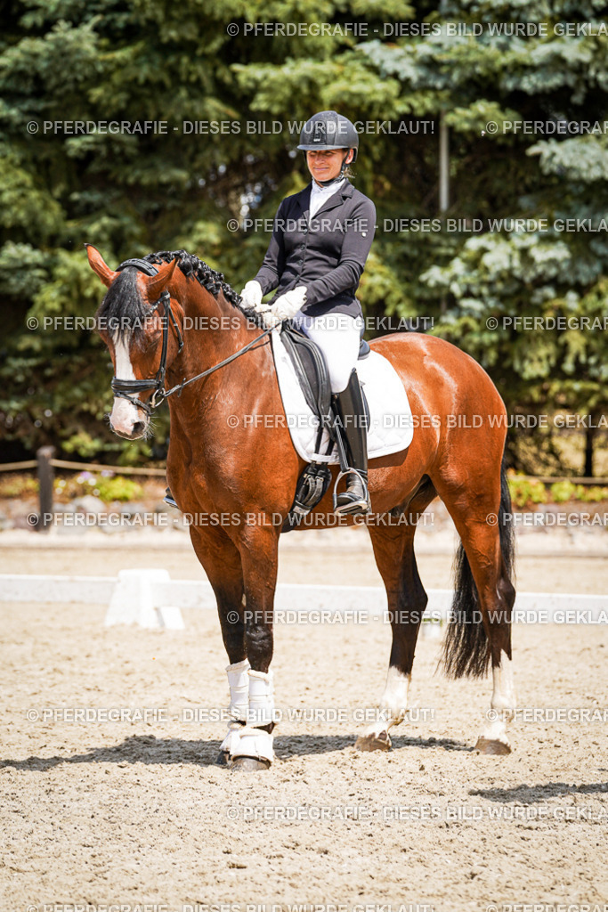 DSC01729 | Pferdegrafie