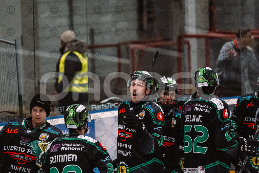 Alligators_vs_Bayreuth_16_01_2026-11 | Höchstadt Alligators Fotogalerie: Eishockey-Action aus Franken. Professionelle Spielfotos, Portraits & Stadionbilder zum Download. Jetzt entdecken! - Realisiert mit Pictrs.com