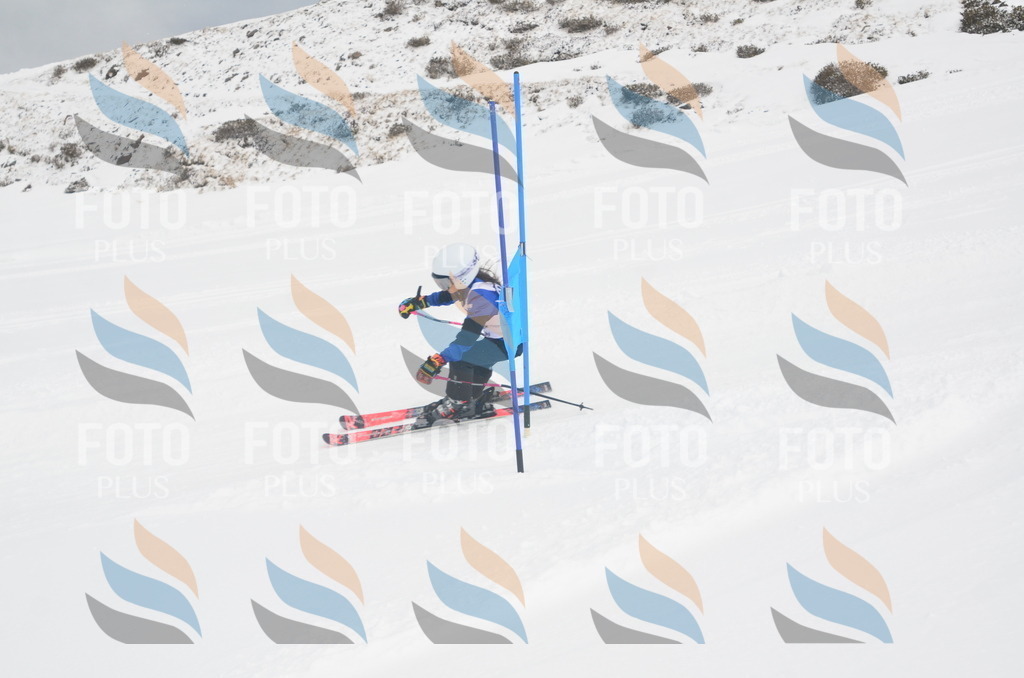 A5517 | holidayphoto