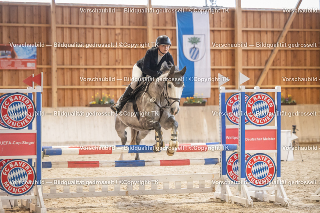 _D5A8067 | Emotionale Pferde- & People-Fotografie rund um Heidelberg, Leimen & Umgebung. Natürliche Fotos von Pferd, Mensch & Familie. Jetzt Termin sichern!