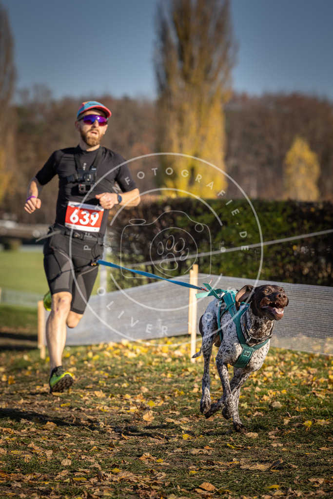 CaniXpix_DV3A0293 | Hundefotografie, Tierfotograf, Pfotenfotografie, Fotoshooting Hund, Hunde Portrait, Hundesport, Hundeportraits, Heideshooting, Hunde, Sportfotograf, Hundefotograf, Turnierhundsport, THS,  - Realisiert mit Pictrs.com