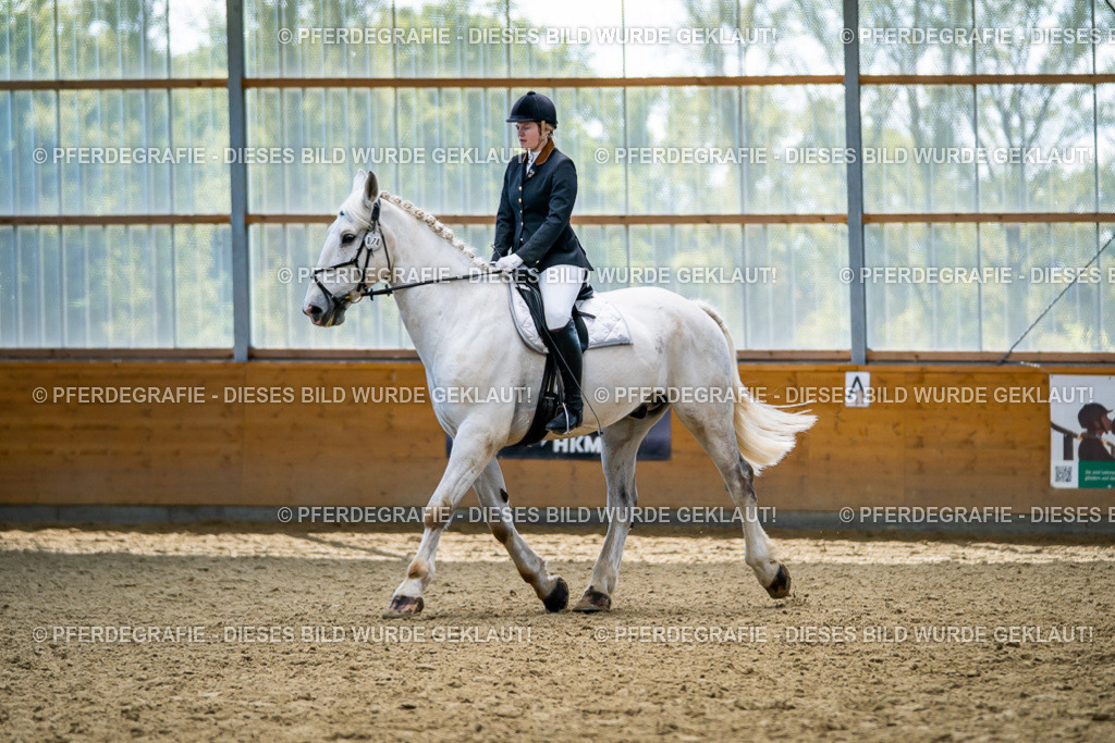 DSC05652 | Pferdegrafie