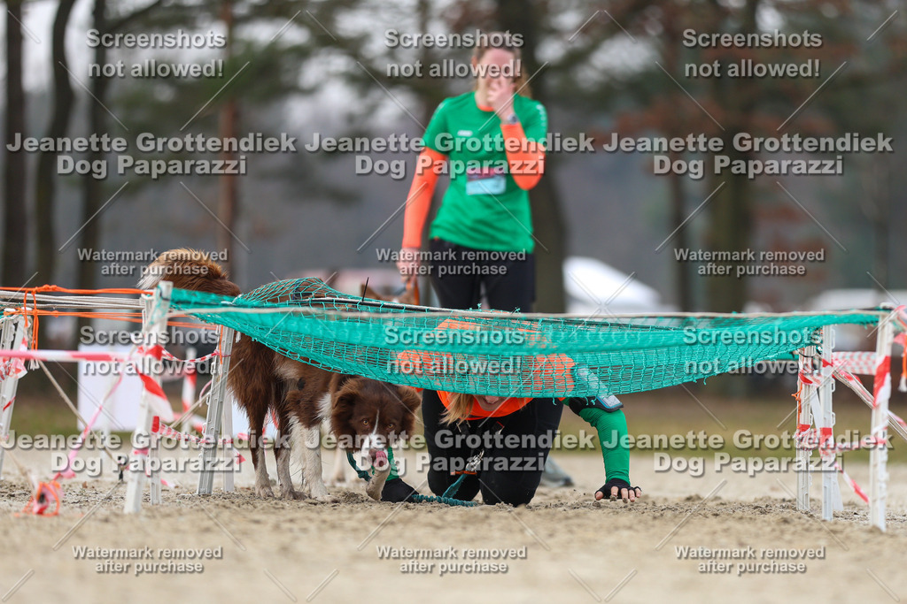 Dog Paparazzi - Strongdog North Mrz26-4557 | Dog Paparazzi Jeanette Grottendiek Fotografie & Videografie - Realisiert mit Pictrs.com