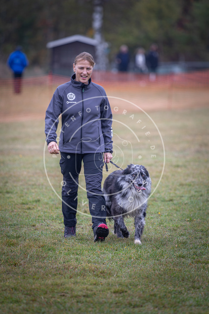 Pfotenfotografie_DV3A9453 | Hundefotografie, Tierfotograf, Pfotenfotografie, Fotoshooting Hund, Hunde Portrait, Hundesport, Hundeportraits, Heideshooting, Hunde, Sportfotograf, Hundefotograf, Turnierhundsport, THS,  - Realisiert mit Pictrs.com