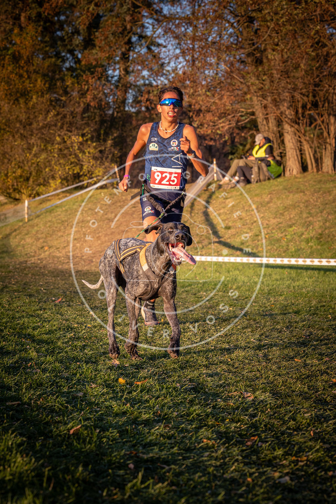 CaniXpix_0L8A1650 | Hundefotografie, Tierfotograf, Pfotenfotografie, Fotoshooting Hund, Hunde Portrait, Hundesport, Hundeportraits, Heideshooting, Hunde, Sportfotograf, Hundefotograf, Turnierhundsport, THS,  - Realisiert mit Pictrs.com