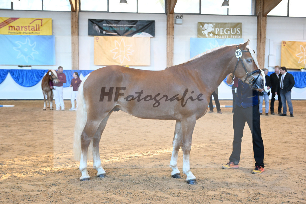 Kat-Nr. 28 Napoleon v. Nakuri_Lechner_60221480 | hf-fotografie - Realisiert mit Pictrs.com