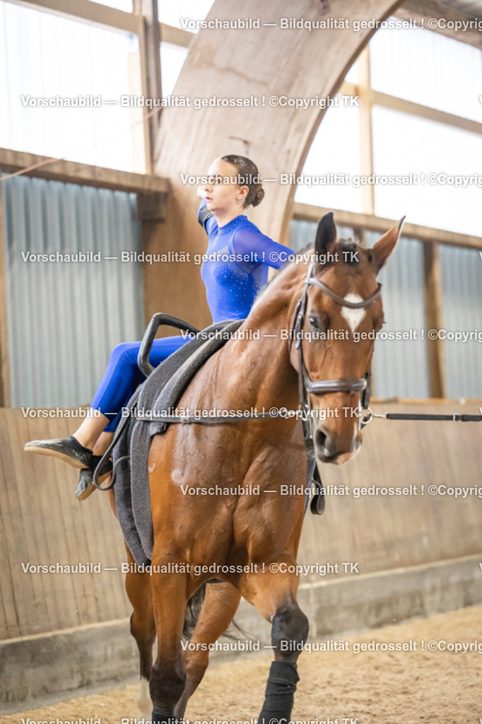 _D5A1074 | Emotionale Pferde- & People-Fotografie rund um Heidelberg, Leimen & Umgebung. Natürliche Fotos von Pferd, Mensch & Familie. Jetzt Termin sichern!