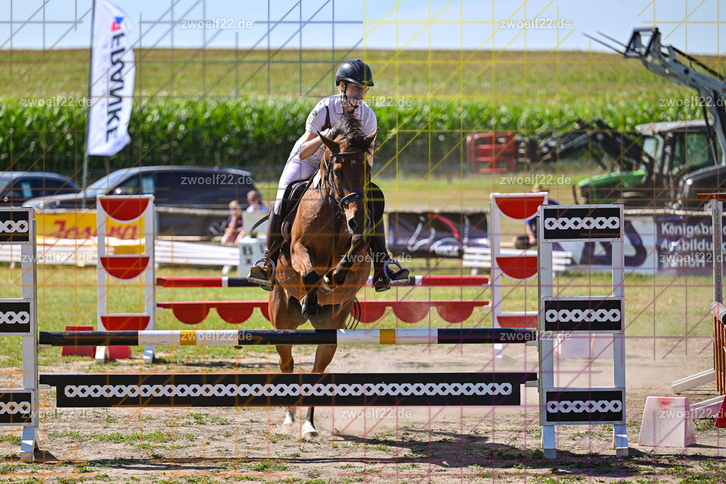 30 Jahre RFV Pulsnitz e.V., Pulsnitz am 09.08.2026 | Zur 28. breitensportlichen Veranstaltung des RFV Pulsnitz e.V. fanden verschiedene Wettbewerbe in nahezu allen Disziplinen des Pferdesport statt. - 06 Standard-Spring-Wettbewerb - Realisiert mit Pictrs.com