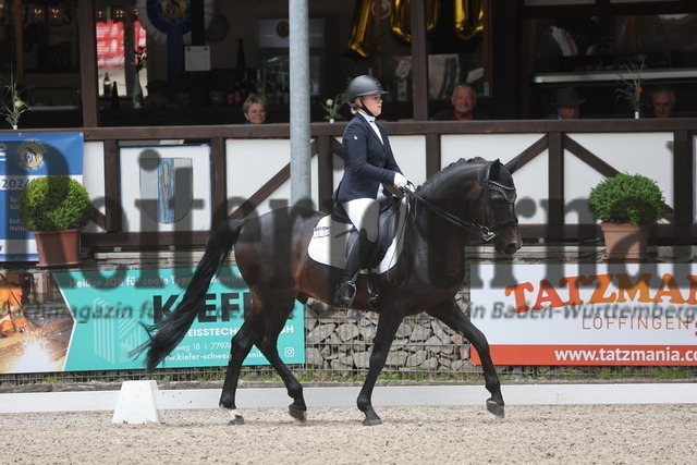 Ichenheim_Dressur_SBM_Dressur_2024_Prfg.Nr.08_Pia-Marie Feucht_Great Gatsby P (3) | Alle Fotos der Reiterjournal Fotografin Doris Matthaes im Reiterjournal Online-Fotoshop. - Realizado com Pictrs.com