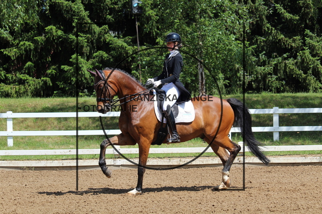 IMG_7462 | franziskalange - Realisiert mit Pictrs.com