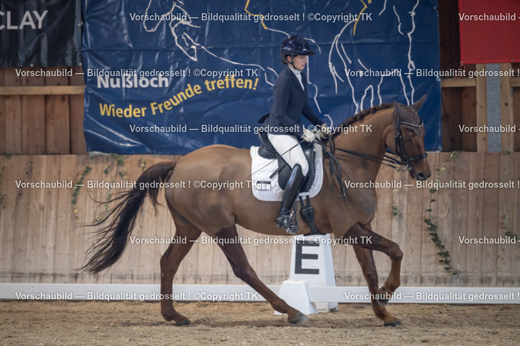 _D5A4887 | Emotionale Pferde- & People-Fotografie rund um Heidelberg, Leimen & Umgebung. Natürliche Fotos von Pferd, Mensch & Familie. Jetzt Termin sichern!