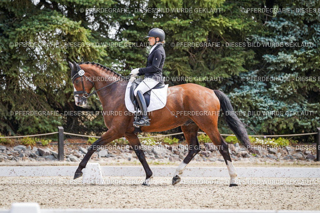 DSC00300 | Pferdegrafie