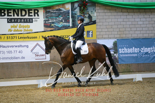 IMG_2868 | Turnierfotos kaufen im Webshop von Daniel Kuhl Photography – entdecke professionelle Reitsportfotos aus Turnieren & Events. Hochwertige Turnierbilder online bestellen & sichern. Jetzt Fotos von Reitsportturnieren kaufen!