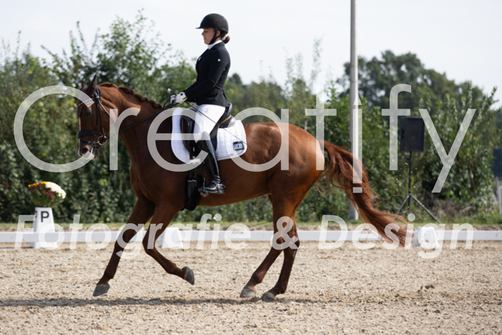 IMG_3402 | Creatify Fotografie