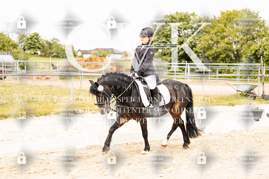 CK904211 | Turnierfotografie Pferdefotografie Trier Rheinland-Pfalz Pferdesport Reitsport Tierfotografie Sportfotografie Pferdevideo Pferdevideografie Equestrianvideography equestrianphotography  - Realisiert mit Pictrs.com