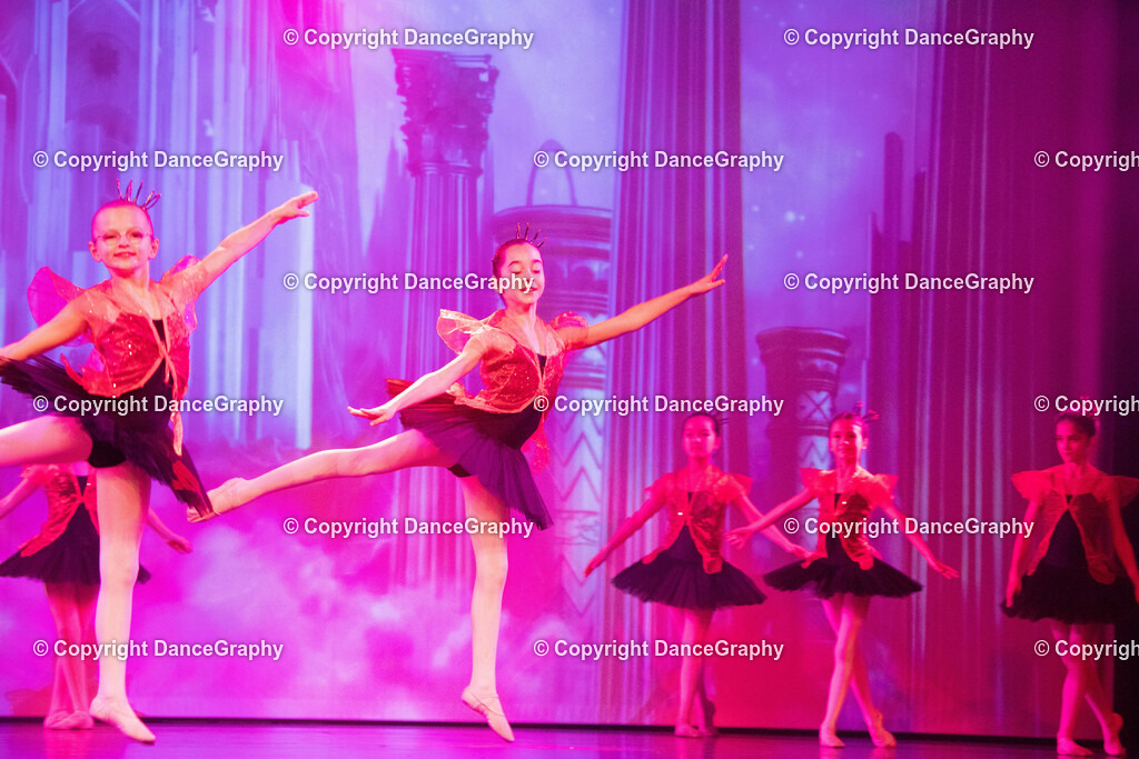 GPHY3239 | DanceGraphy - Realisiert mit Pictrs.com