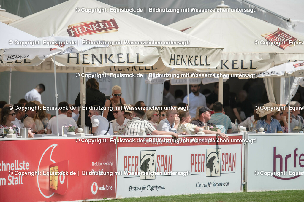 DSC_0355 | equistock