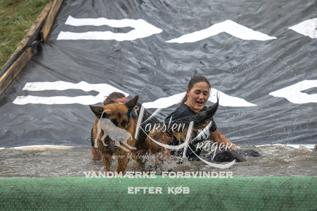 1346_ZZ93232 | kk-dogfotos