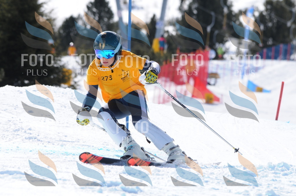 C8986 | holidayphoto