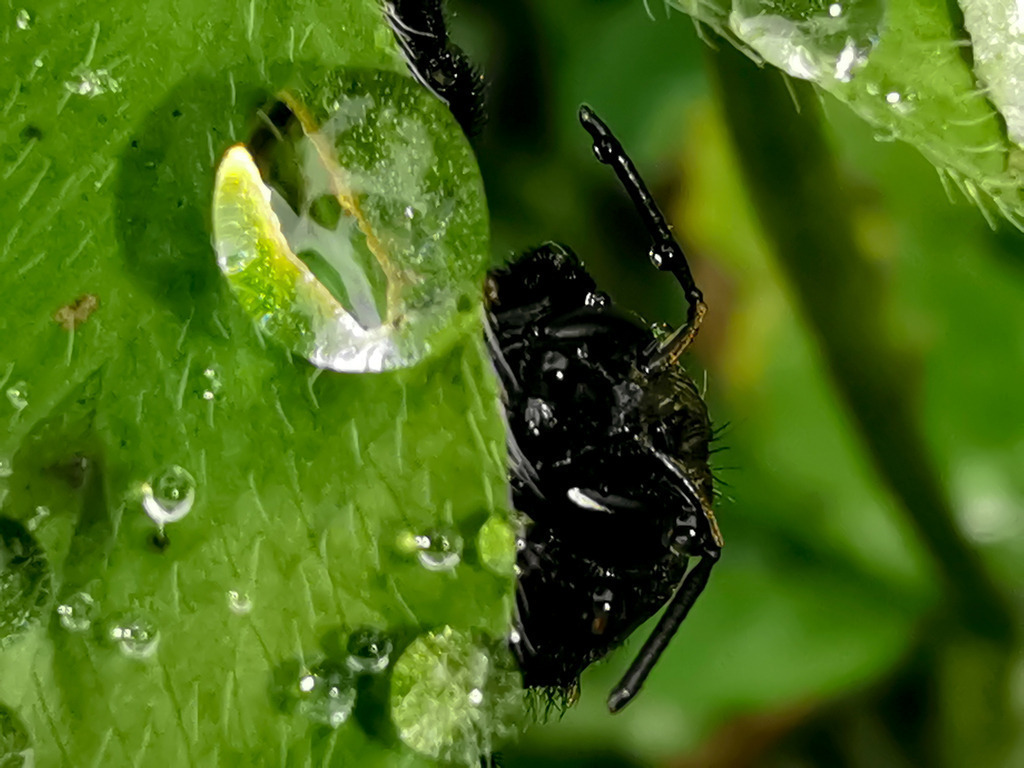 PSX_20230829_224852 | mtkfoto_ - Realisiert mit Pictrs.com