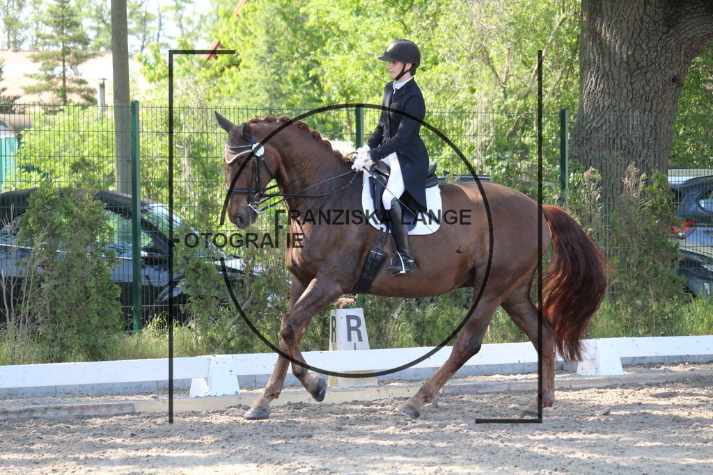 IMG_5490 | franziskalange - Realisiert mit Pictrs.com