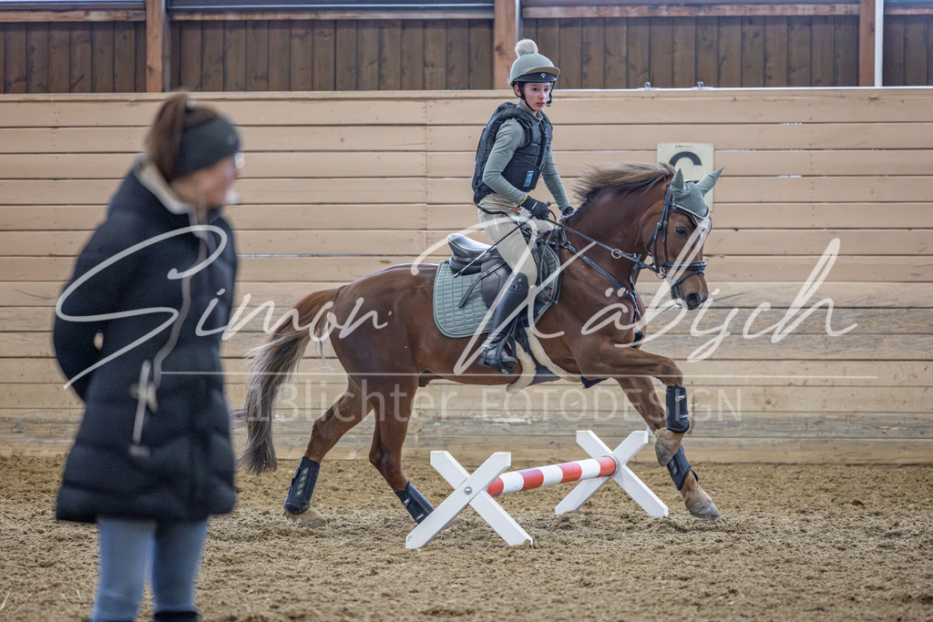 20260221-_3LI9539 | Tierfotografie Pferde, Hunde, Katzen, Haustiere.
Turnierfotografie Reitturniere, Reiten, Springreiten, Dressur in Hanau, dem Main-Kinzig-Kreis und dem Rhein-Main- Gebiet um Frankfurt