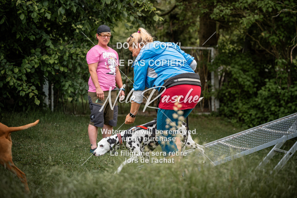 nelerasche_So-funtrail_84 | nelerasche