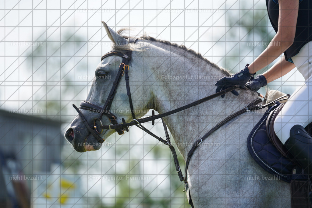 20230917-FAH09595 | Landsberg am Lech, 2023, Kaufbeuren, Kempten, Allgäu, Turnierfotografen Bayern, Fotoagentur Herrmann, Turnierbilder, Reitsport Fotos, Pferdefotograf, Augsburg, Bad Tölz, Dachau, Karlsfeld, Memmingen, Buchloe, Schwabmünchen