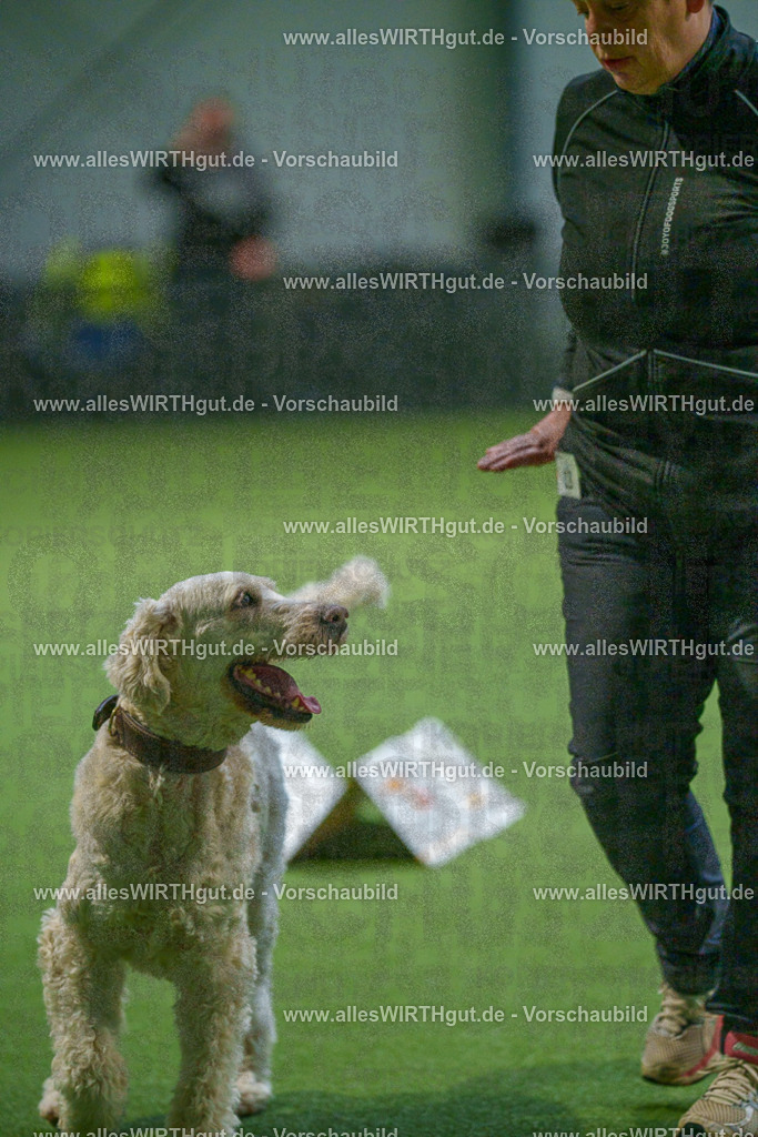 7R500836 | Professionelle Tierfotografie in Mönchengladbach von Daniel Wirth (allesWIRTHgut). Liebevolle & natürliche Bilder von Hunden & Katzen für unvergessliche Erinnerungen.