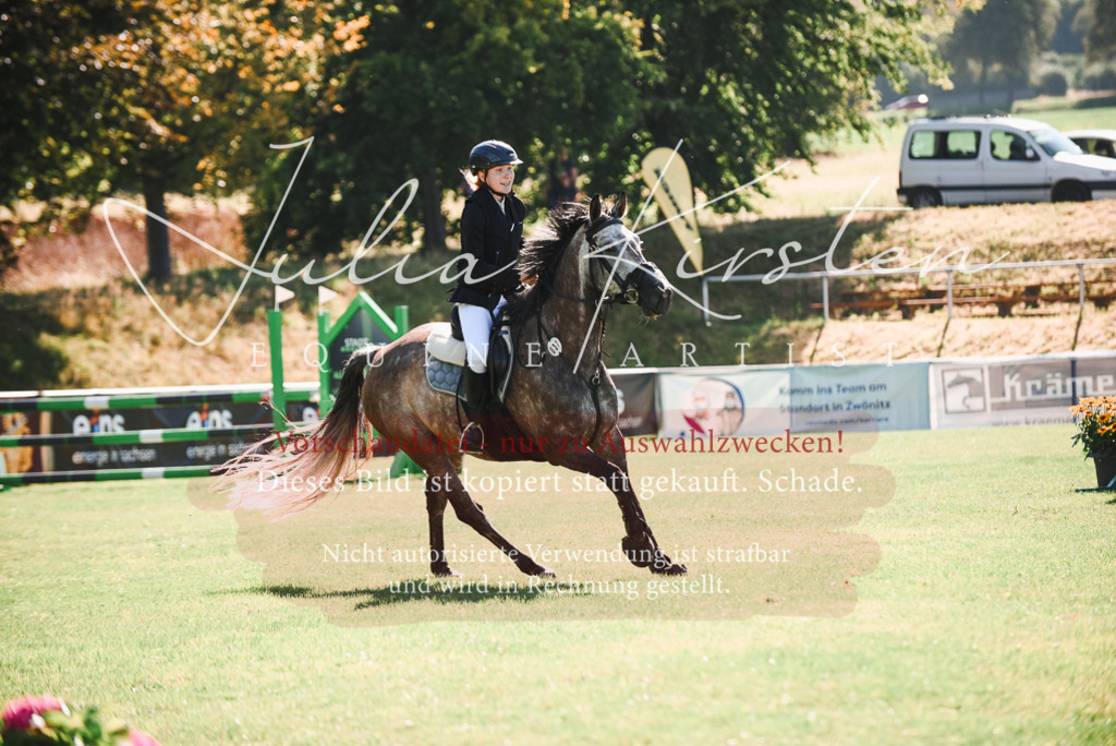 DSC_2560 | Pferde- und Turnierfotografie in Westsachsen. Pferdeportraits, Auftragszeichnungen und intuitive Kunst.