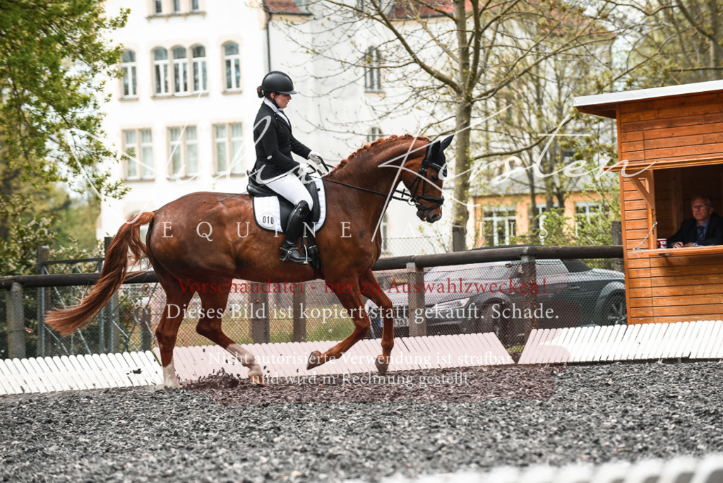 20230514_JK-Röhrsdorf-24-048 | Pferde- und Turnierfotografie in Westsachsen. Pferdeportraits, Auftragszeichnungen und intuitive Kunst.