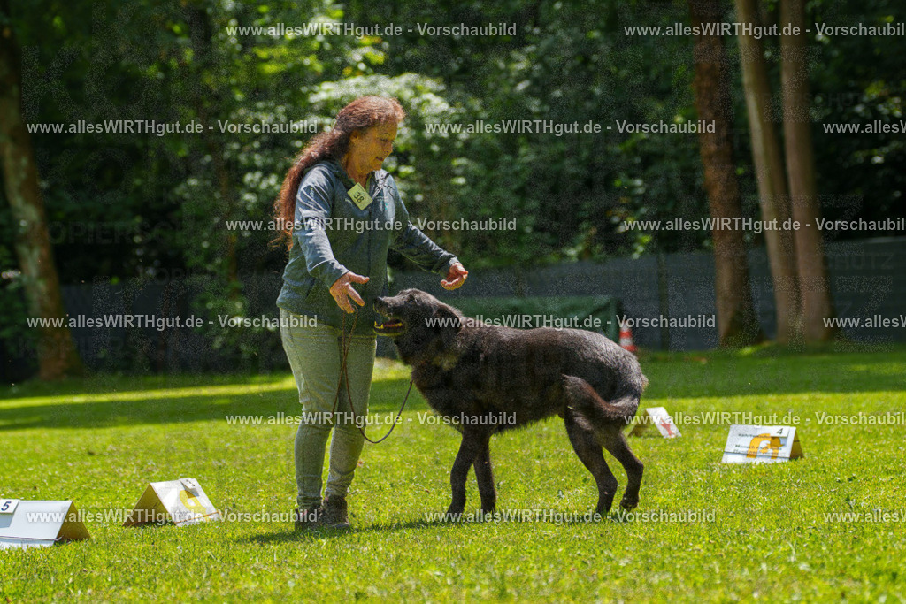 @allesWIRTHgut_Tierfotografie - www.allesWIRTHgut.de - 7R504663 | Professionelle Tierfotografie in Mönchengladbach von Daniel Wirth (allesWIRTHgut). Liebevolle & natürliche Bilder von Hunden & Katzen für unvergessliche Erinnerungen.