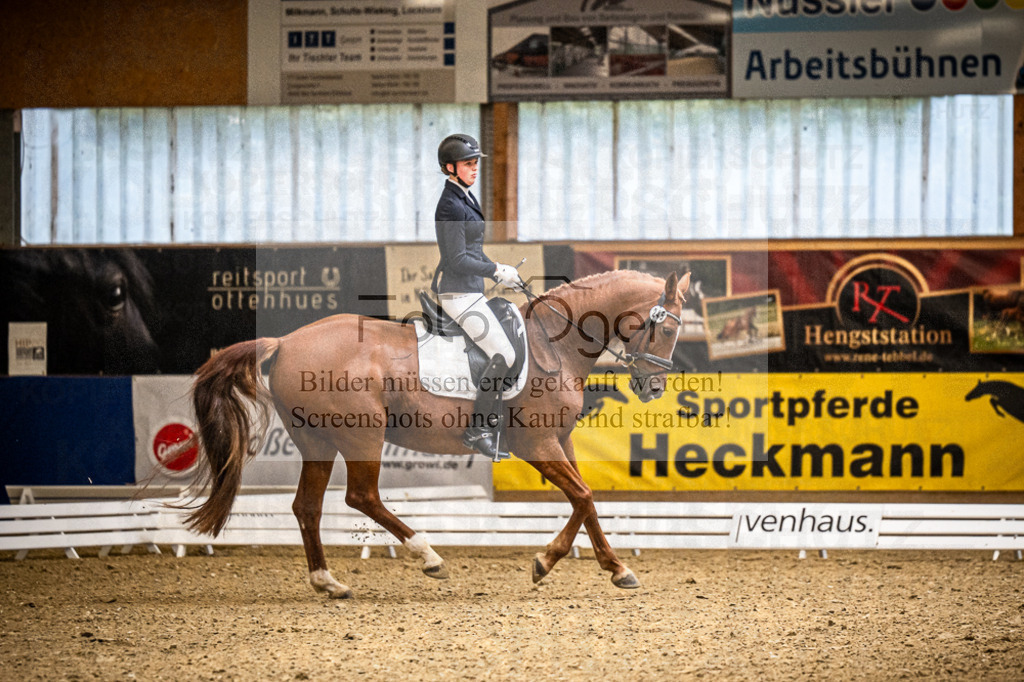 DOS_3008 | Entdecke hochwertige Reitturnierfotos von Foto Oger. Professionell, emotional und authentisch – jetzt Lieblingsmomente im Shop bestellen.Deutschlandweite Turnierfotografie. - Realisiert mit Pictrs.com