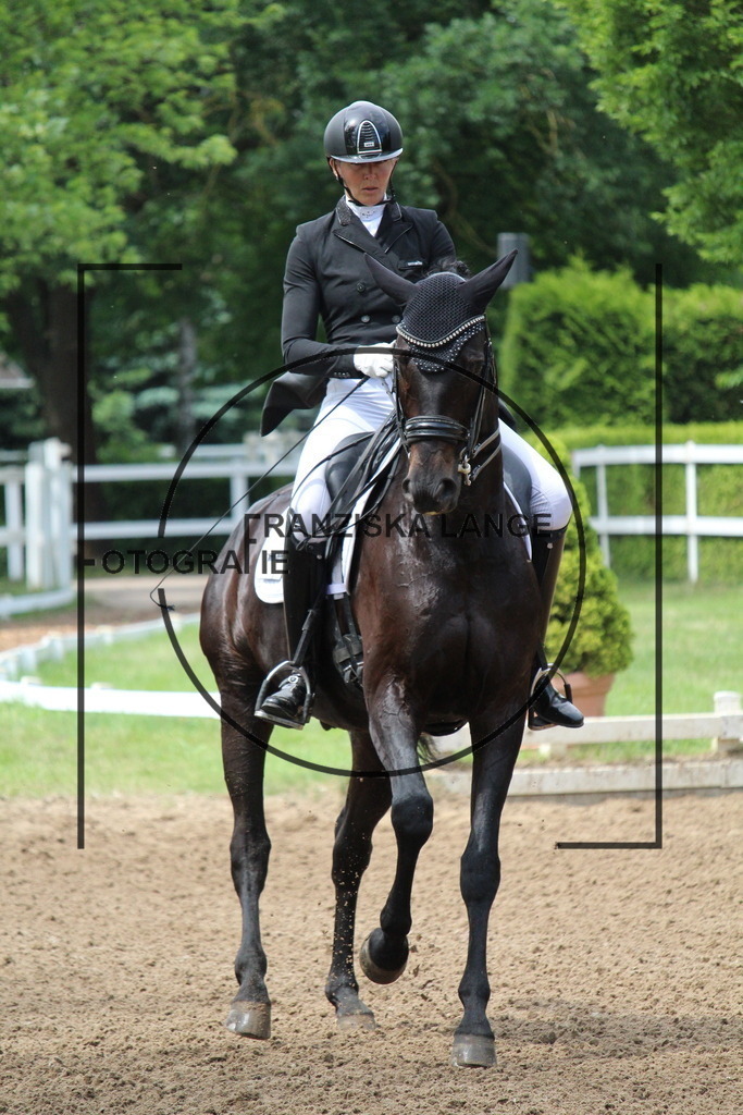 IMG_8133 | franziskalange - Realisiert mit Pictrs.com