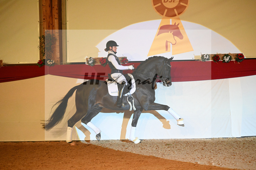 Montgomery_1234948 | hf-fotografie - Realisiert mit Pictrs.com