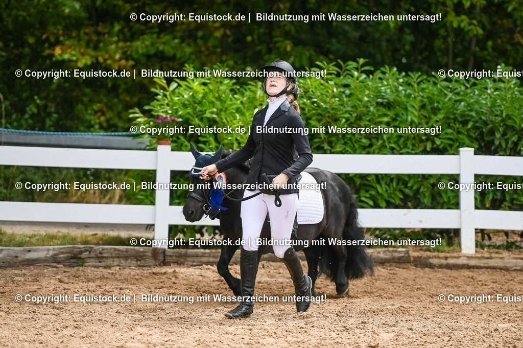 20230716_11_Führzügel-WB_0137 | equistock
