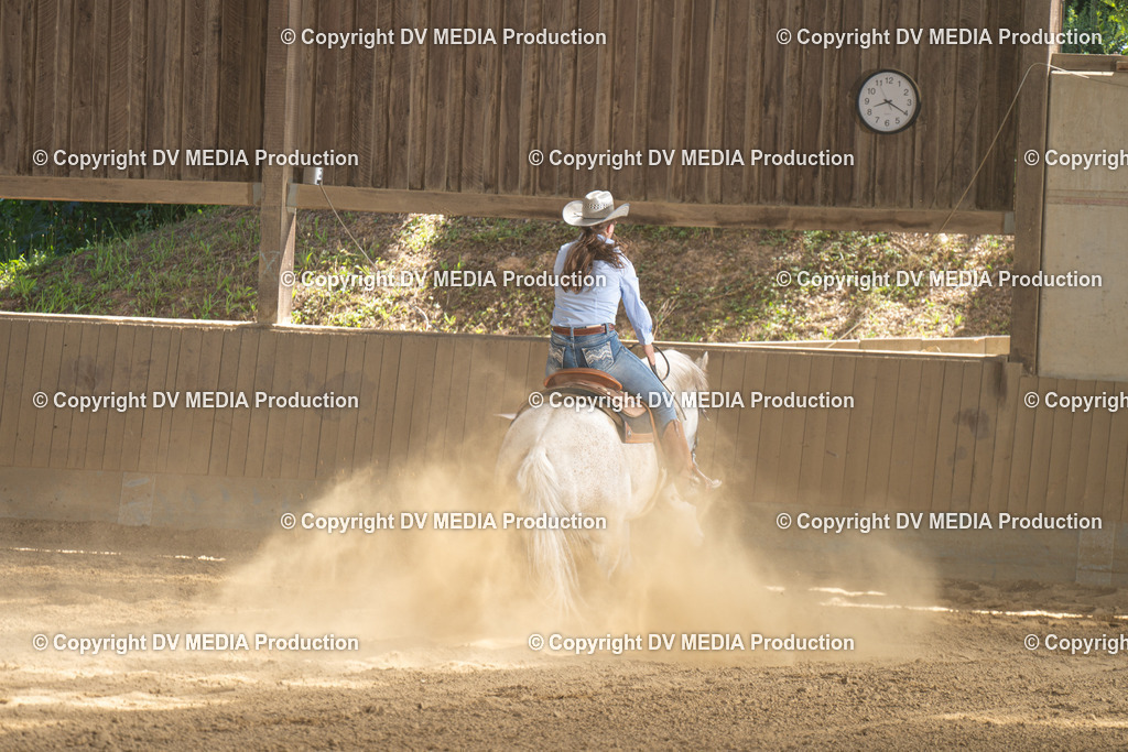 DSC00187 | dv-media-shop - Realisiert mit Pictrs.com