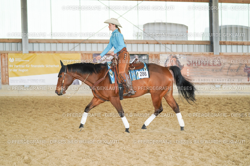 DSC00882 | Pferdegrafie