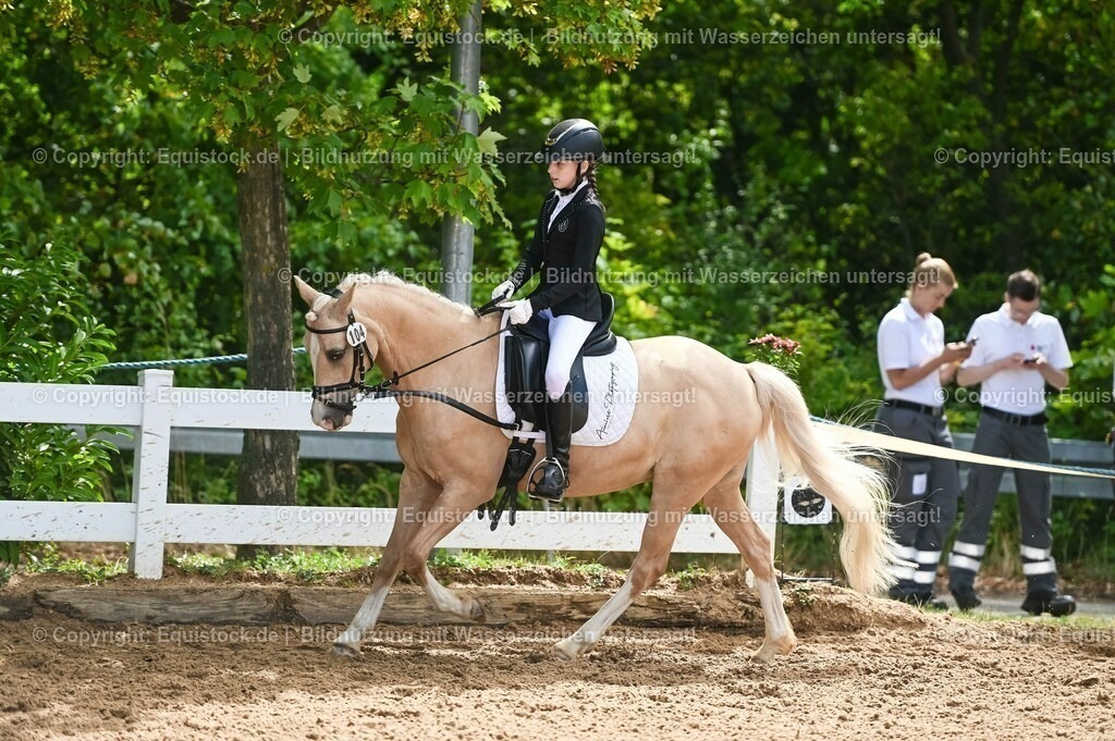 20230716_10-3_Reiter-WB Schritt - Trab - Galopp_0112 | equistock