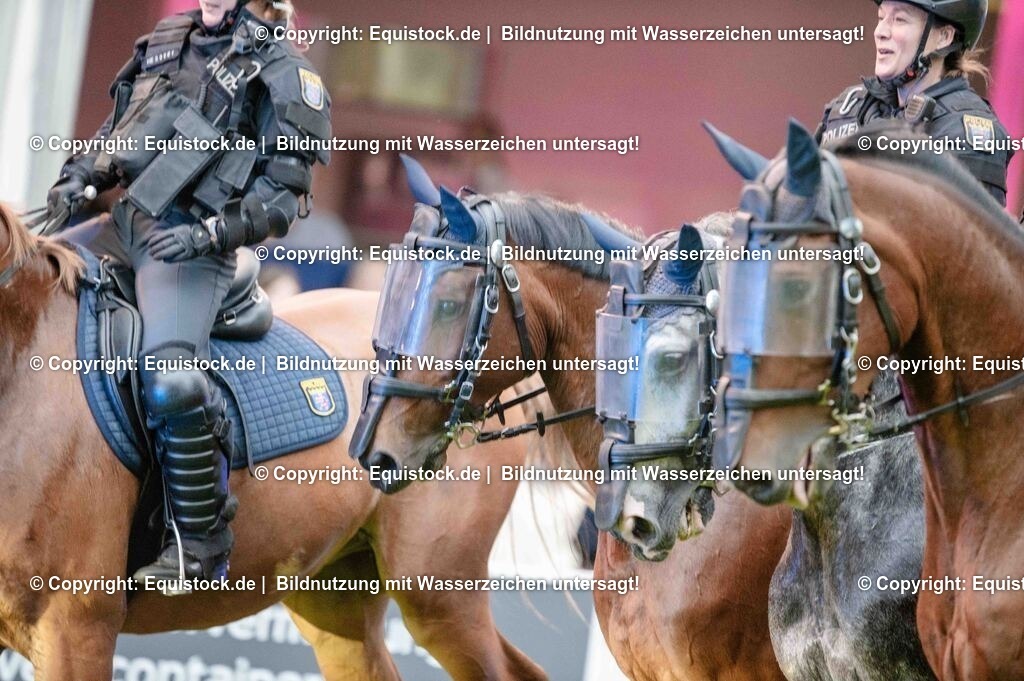 20250606_Lange-Pferdenacht_0824 | Foto: Thomas Hartig