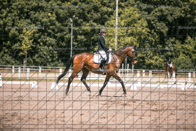 _W6A2490 | ronjaprokoschfotografie - Realisiert mit Pictrs.com