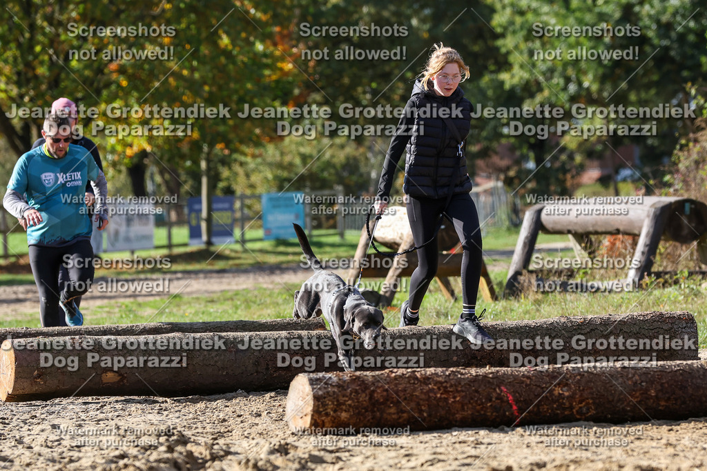 Dog Paparazzi - Strongdog 10-25-4857 | Dog Paparazzi Jeanette Grottendiek Fotografie & Videografie - Realisiert mit Pictrs.com