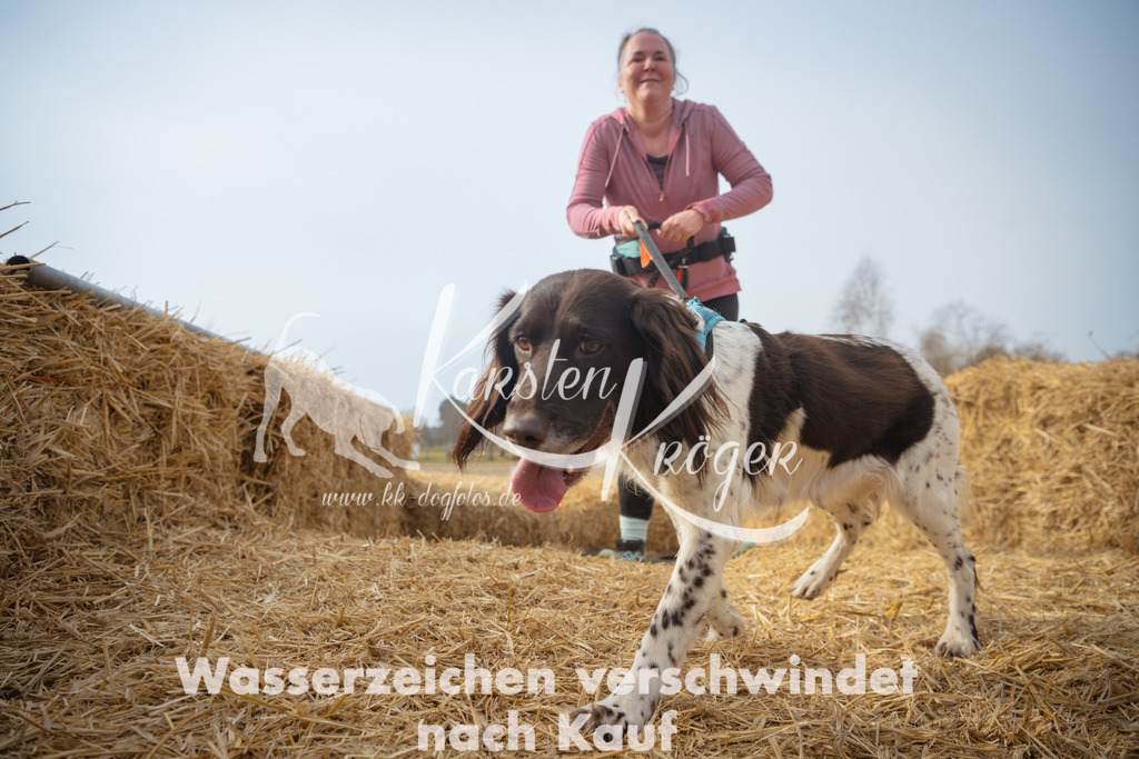 1022_ZZ94805 | kk-dogfotos