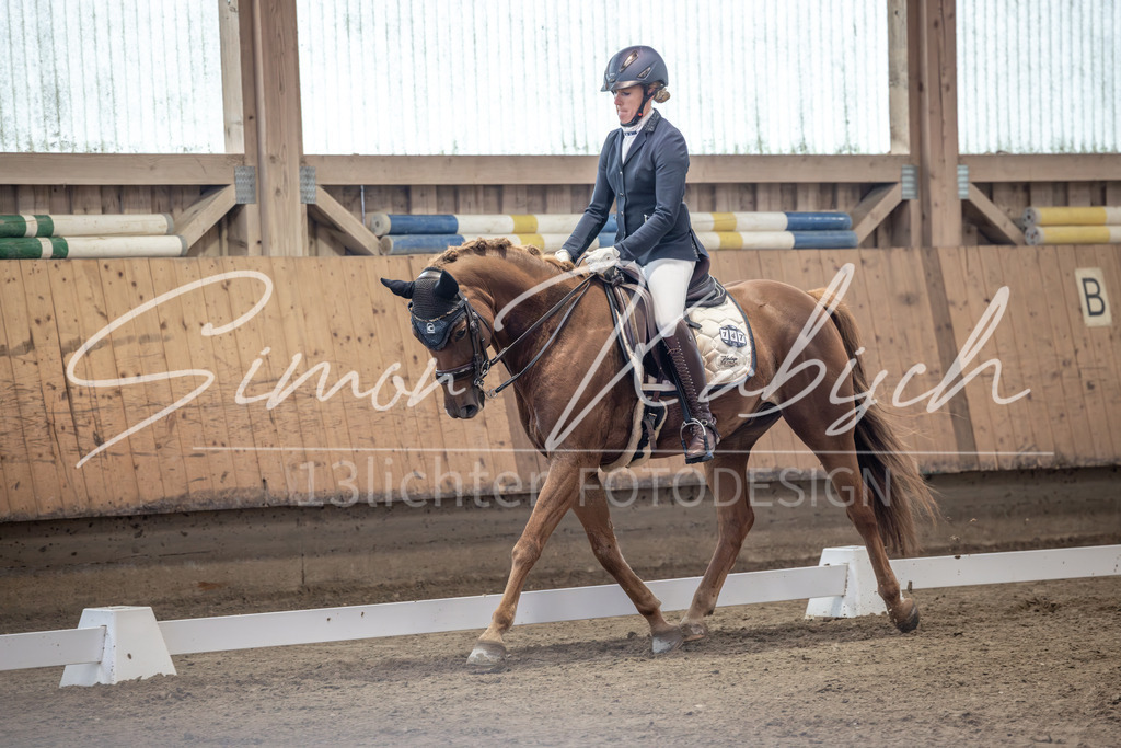 20251011-_3LI0982 | Tierfotografie Pferde, Hunde, Katzen, Haustiere.
Turnierfotografie Reitturniere, Reiten, Springreiten, Dressur in Hanau, dem Main-Kinzig-Kreis und dem Rhein-Main- Gebiet um Frankfurt