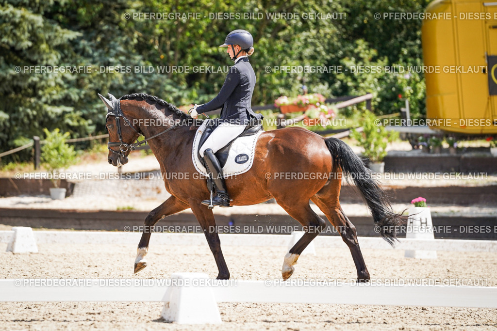 DSC01468 | Pferdegrafie