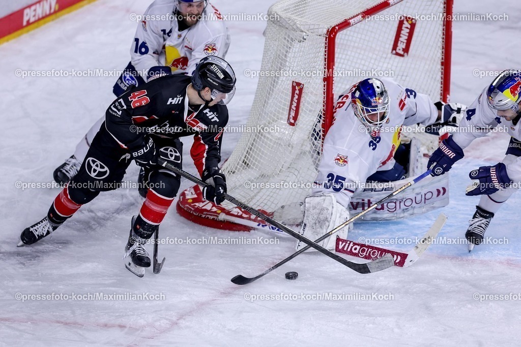 KEC28012501057 | 28.01.2025, Eishockey, DEL, Kölner Haie - EHC Red Bull München, Spieltag 41, Lanxess-Arena Köln: Kevin Niedenz (Kölner Haie #46) im Zweikampf um den Puck vor dem Tor von Goalie Mathias Niederberger (EHC München #35)