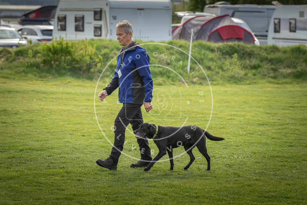 Pfotenfotografie_DV3A4874 | Hundefotografie, Tierfotograf, Pfotenfotografie, Fotoshooting Hund, Hunde Portrait, Hundesport, Hundeportraits, Heideshooting, Hunde, Sportfotograf, Hundefotograf, Turnierhundsport, THS,  - Realisiert mit Pictrs.com