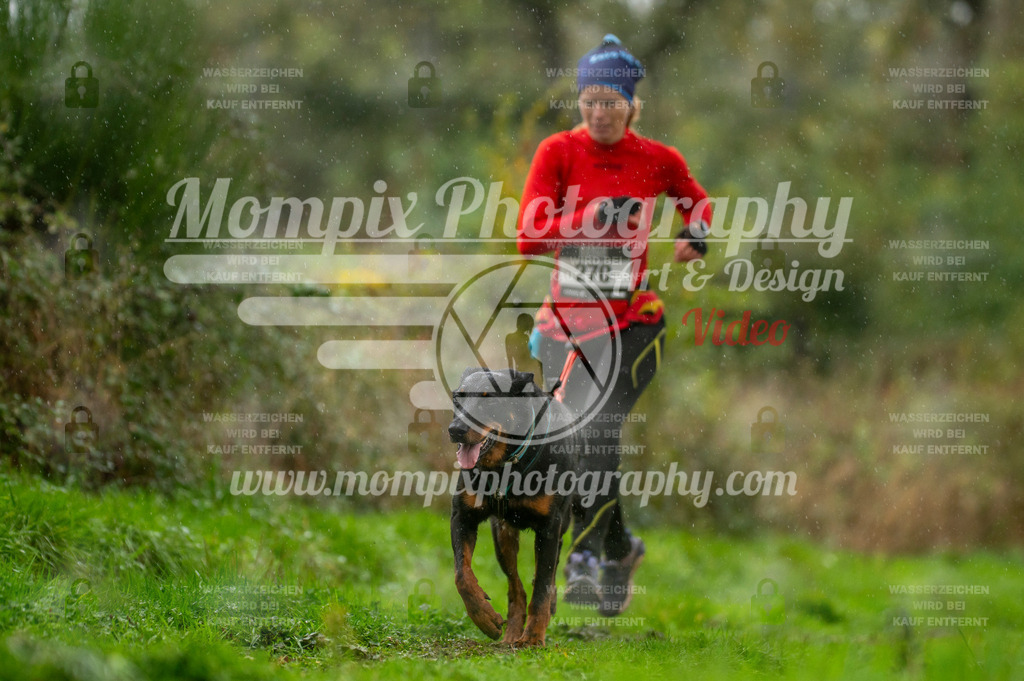 TSB_2023_E6_Canicross-115 | PayLife