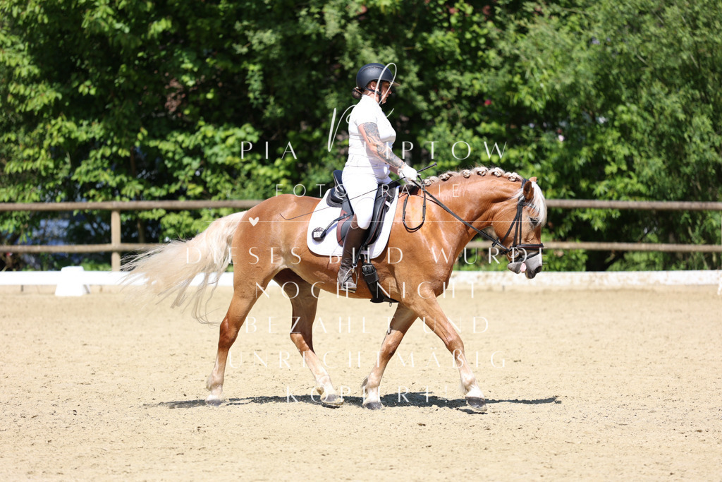 IMGS2979 | pl-fotografie